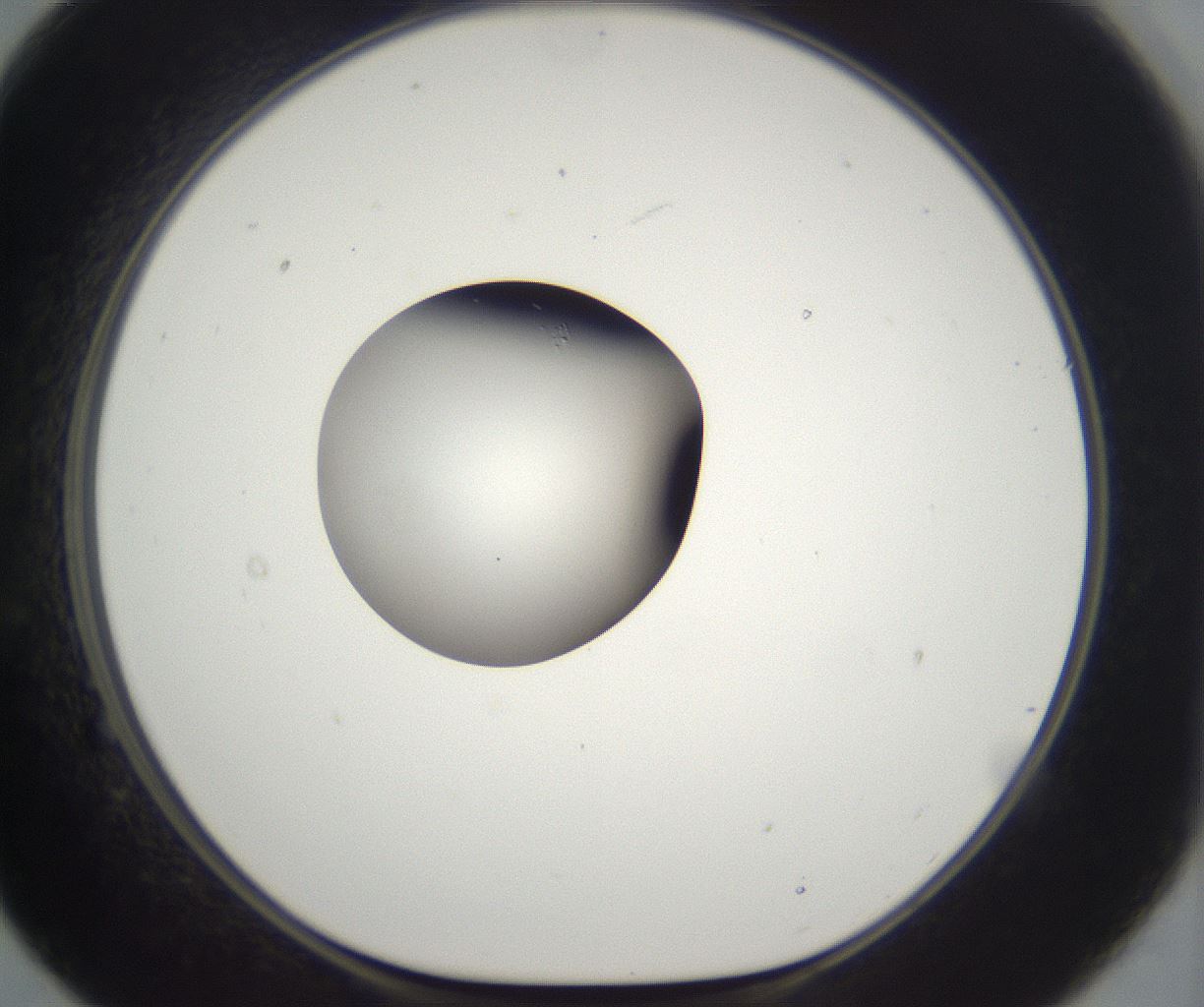 folderID263_plateID2263_batchID10360_wellNum21_profileID1_d1_r158166_ef.jpg