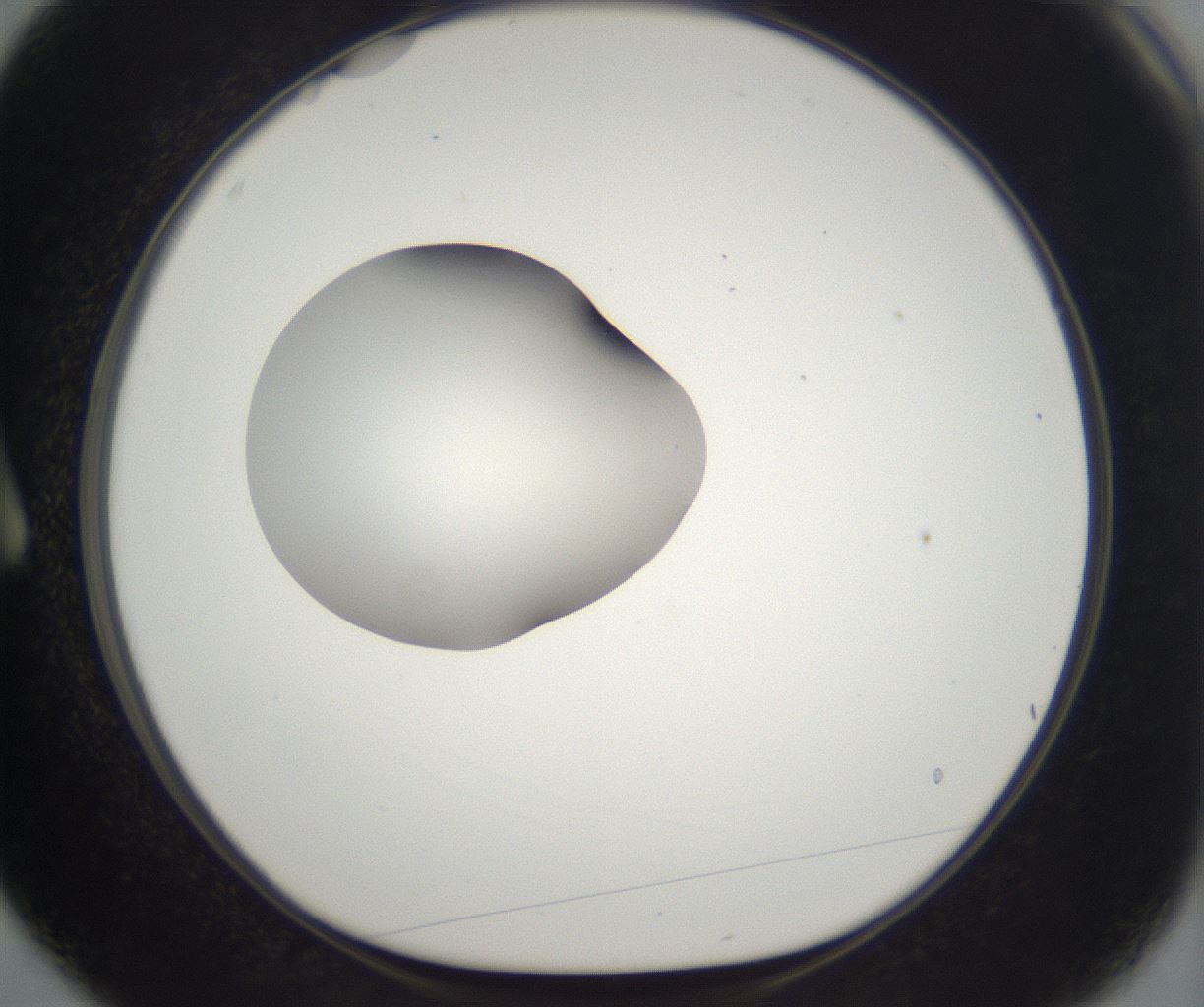 folderID263_plateID2263_batchID10360_wellNum3_profileID1_d1_r158148_ef.jpg