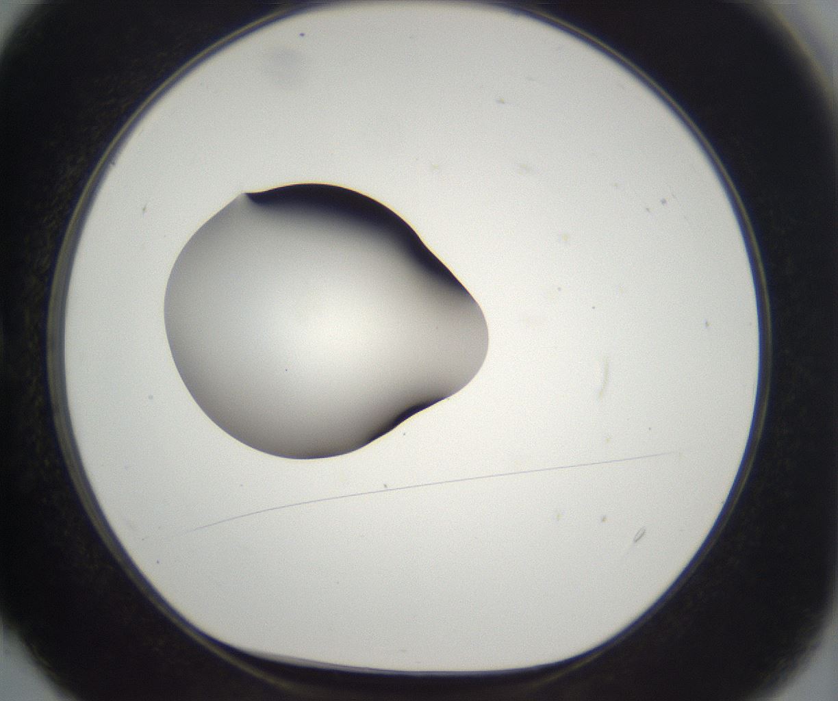 folderID263_plateID2263_batchID10360_wellNum4_profileID1_d1_r158149_ef.jpg