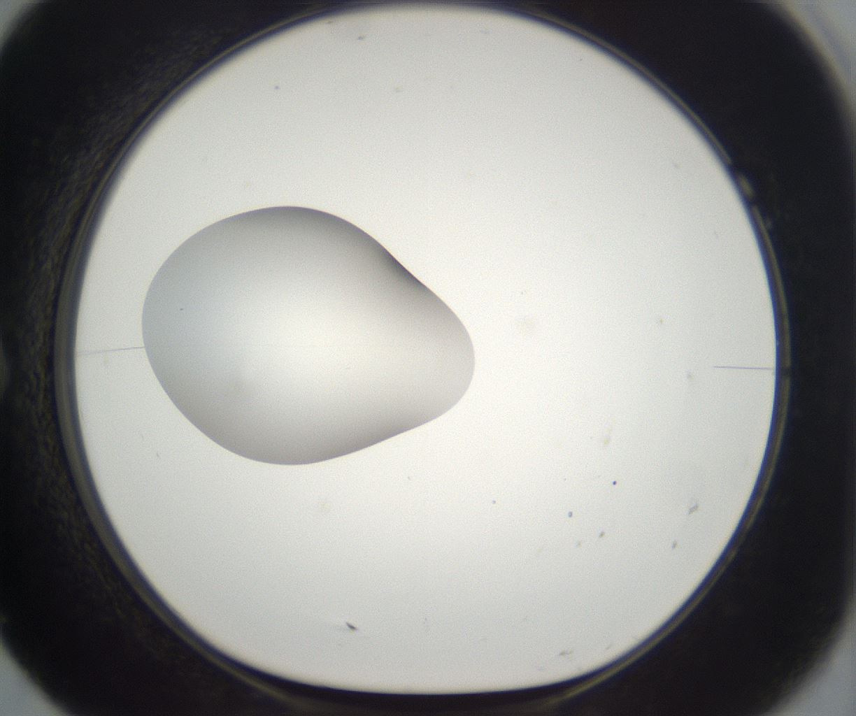folderID263_plateID2263_batchID10360_wellNum7_profileID1_d1_r158152_ef.jpg