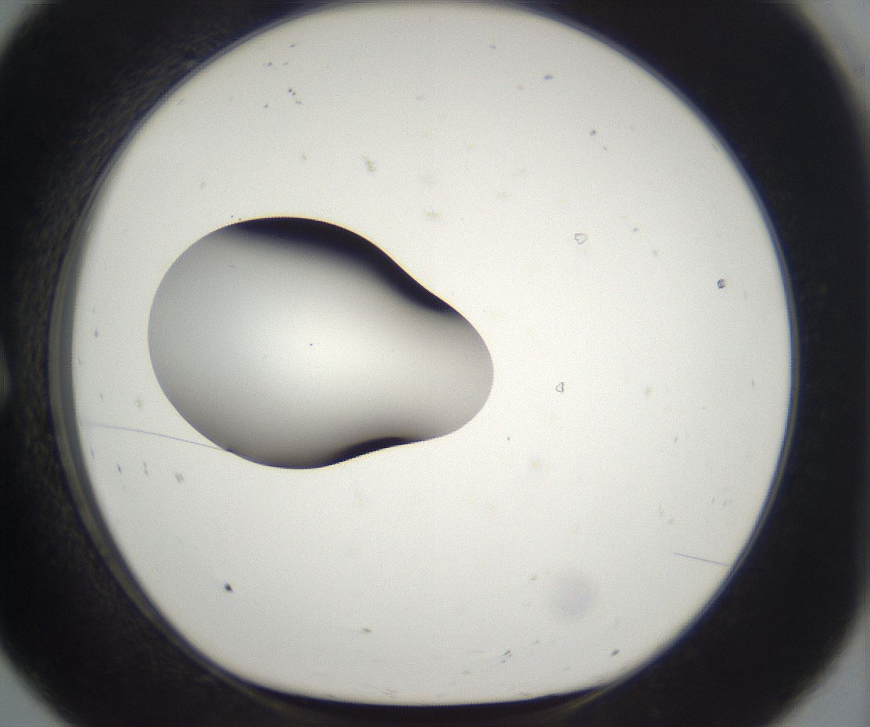 folderID263_plateID2263_batchID10360_wellNum8_profileID1_d1_r158153_ef.jpg