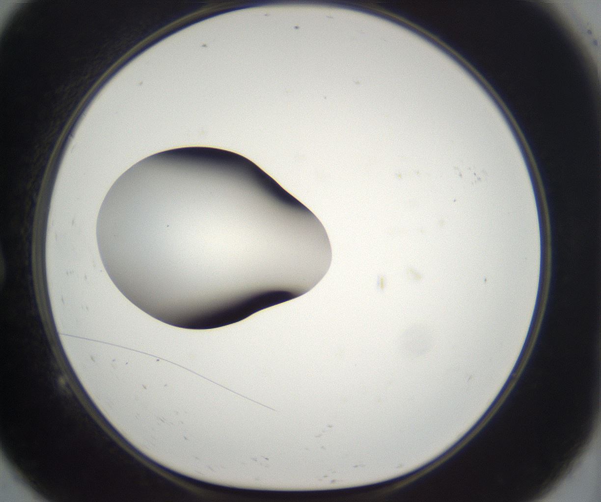 folderID263_plateID2263_batchID10360_wellNum9_profileID1_d1_r158154_ef.jpg
