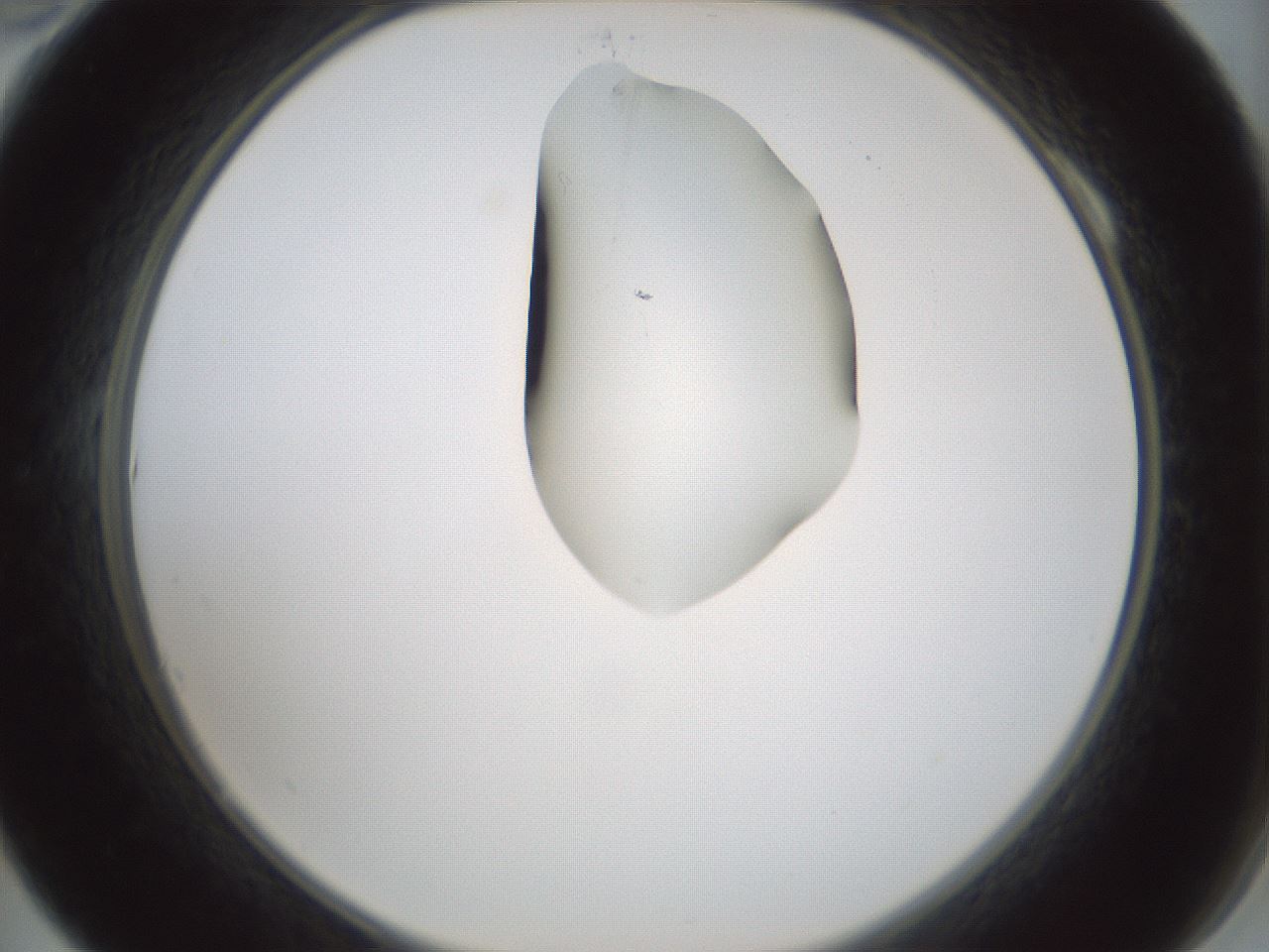 folderID264_plateID1264_batchID4189_wellNum10_profileID1_d2_r74507_ef.jpg