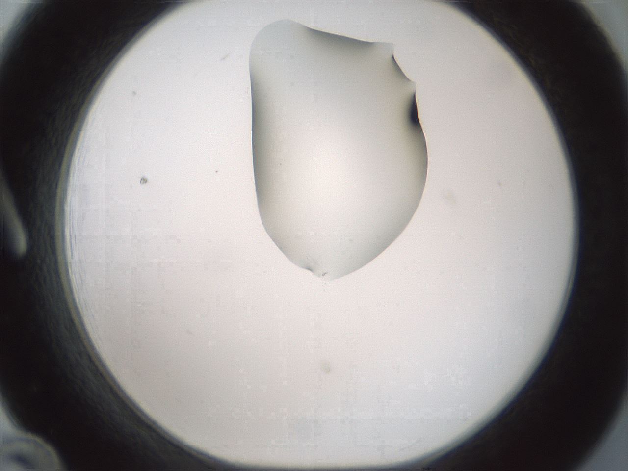 folderID264_plateID1264_batchID4189_wellNum12_profileID1_d1_r74510_ef.jpg