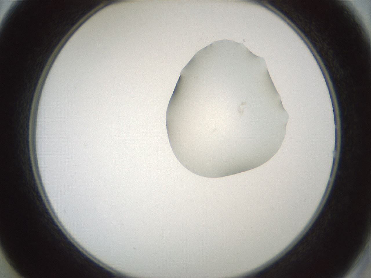 folderID264_plateID1264_batchID4189_wellNum14_profileID1_d2_r74515_ef.jpg