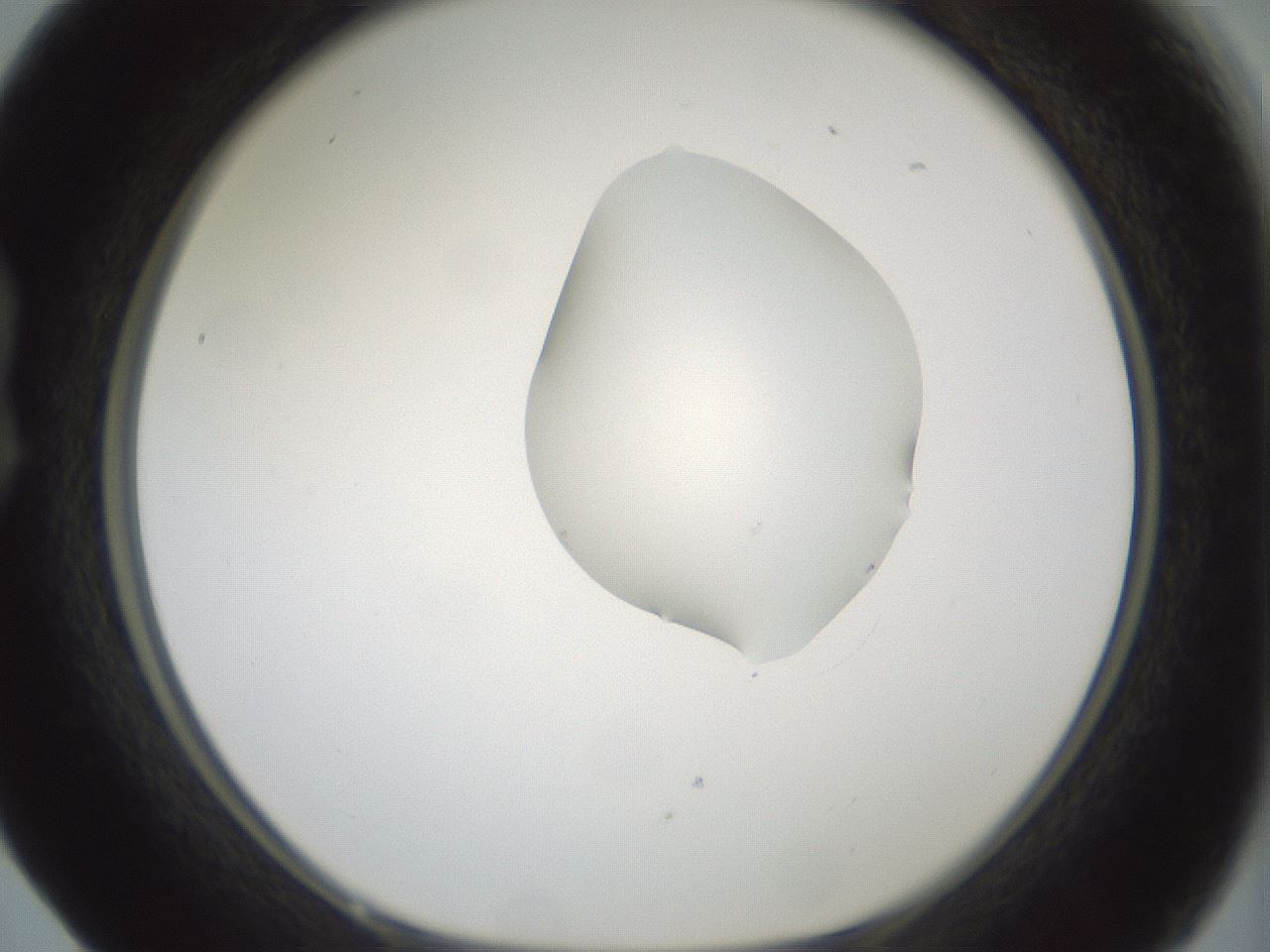 folderID264_plateID1264_batchID4189_wellNum17_profileID1_d1_r74520_ef.jpg