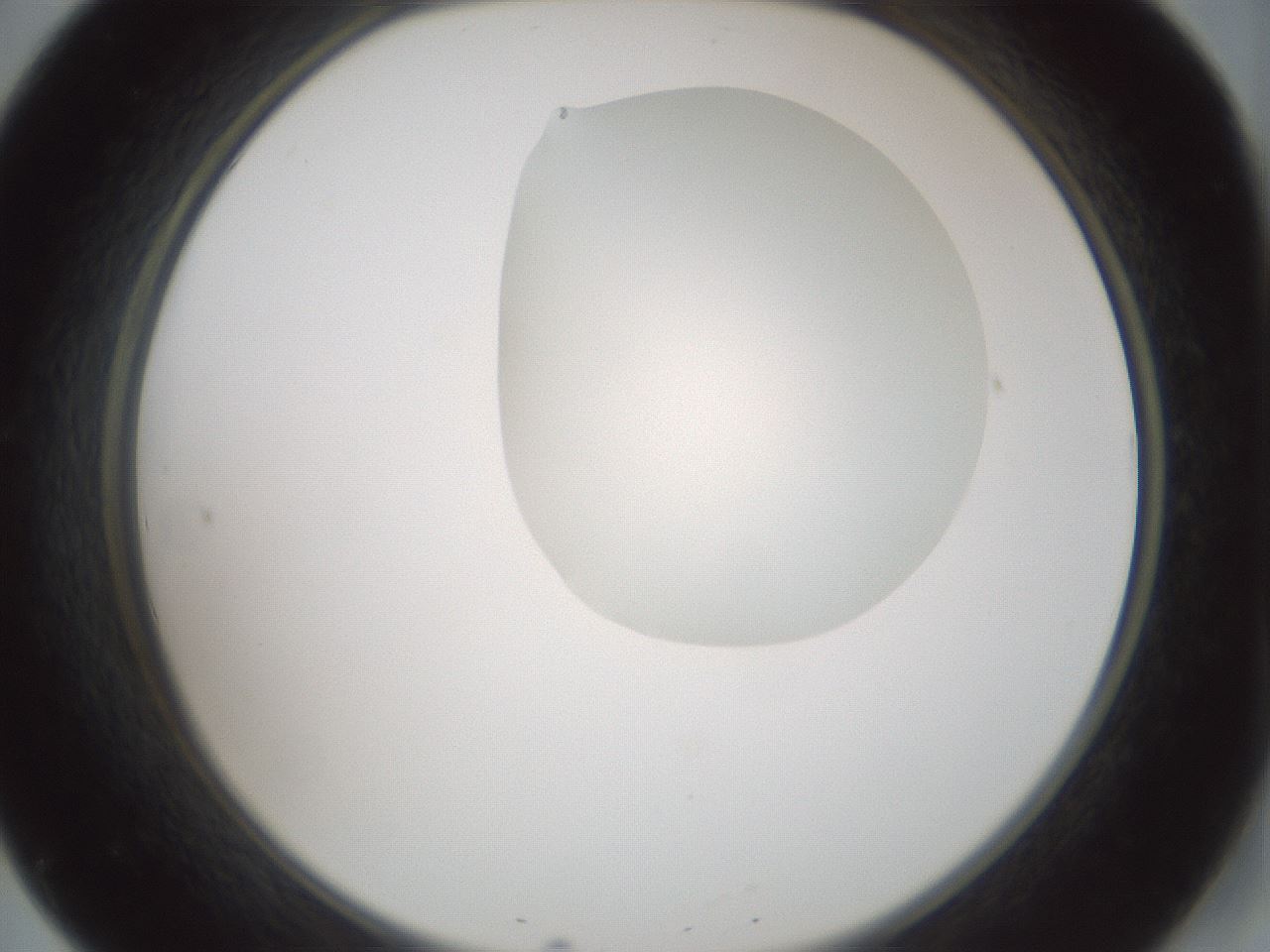 folderID264_plateID1264_batchID4189_wellNum20_profileID1_d2_r74527_ef.jpg