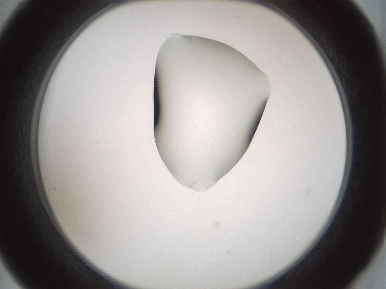 folderID264_plateID1264_batchID4189_wellNum21_profileID1_d2_r74529_ef.jpg