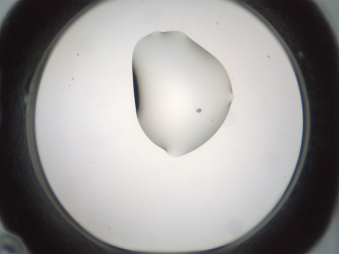 folderID264_plateID1264_batchID4189_wellNum22_profileID1_d1_r74530_ef.jpg