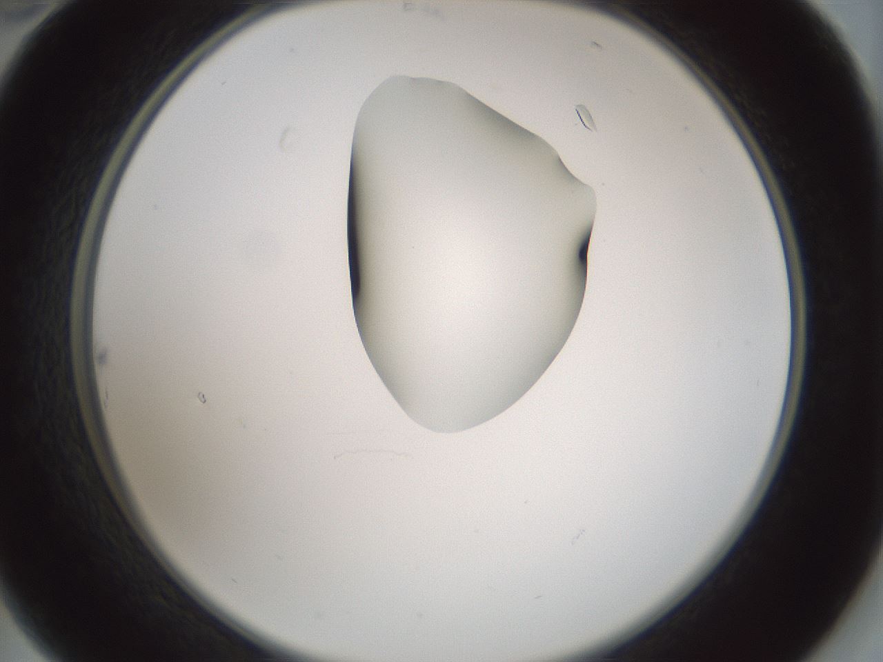 folderID264_plateID1264_batchID4189_wellNum22_profileID1_d2_r74531_ef.jpg