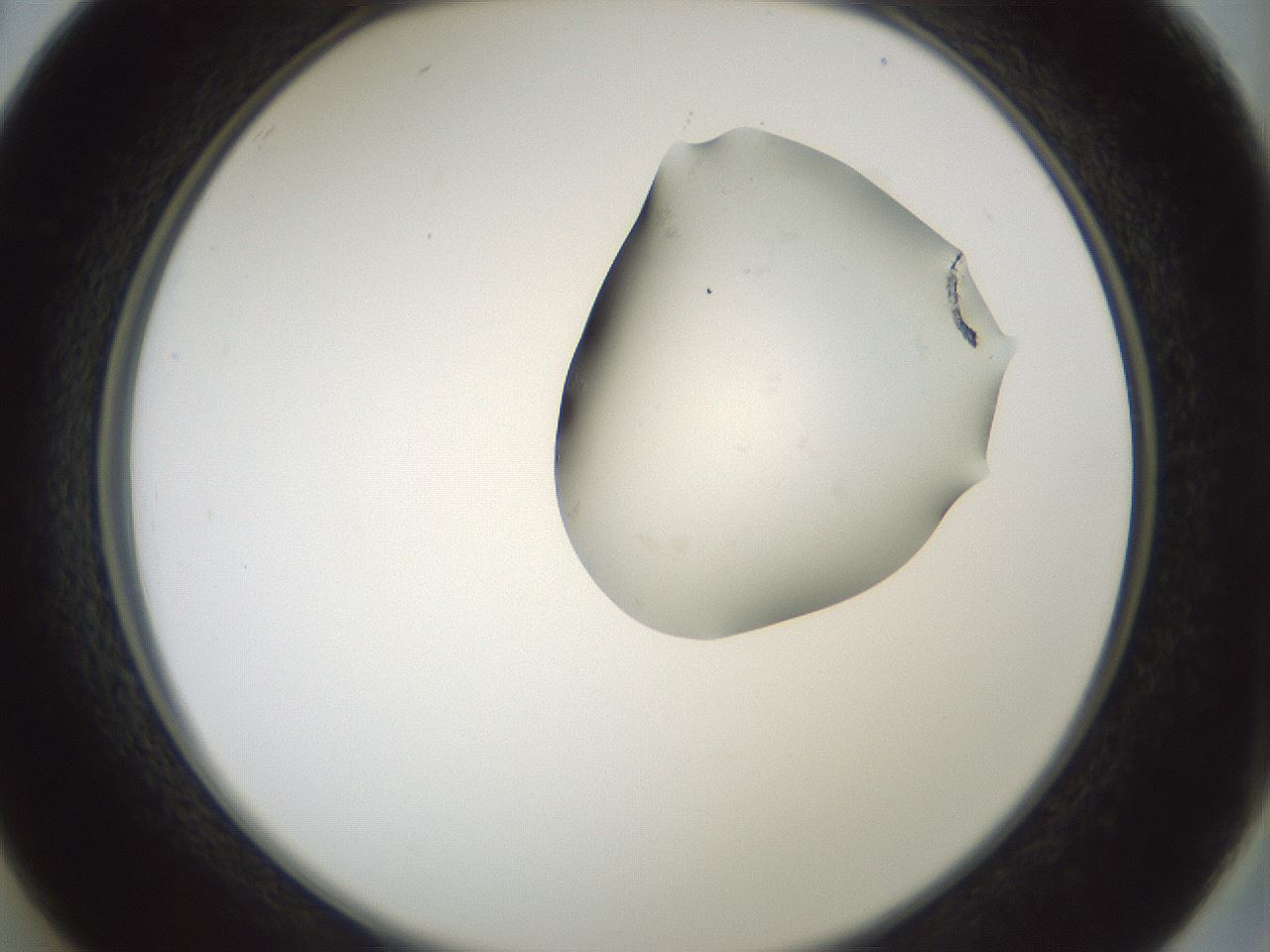 folderID264_plateID1264_batchID4189_wellNum26_profileID1_d2_r74539_ef.jpg