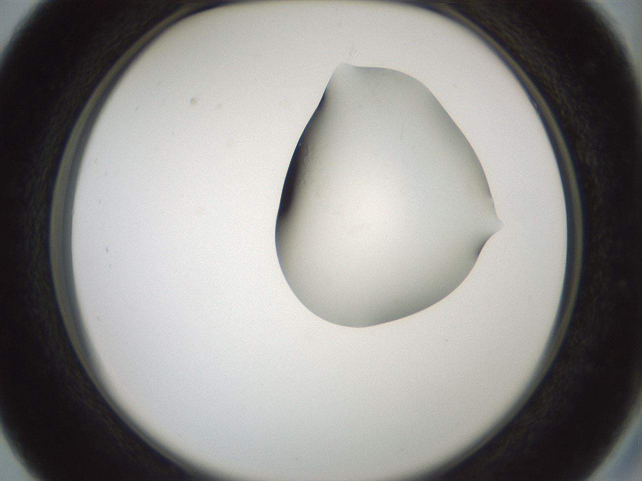 folderID264_plateID1264_batchID4189_wellNum27_profileID1_d2_r74541_ef.jpg