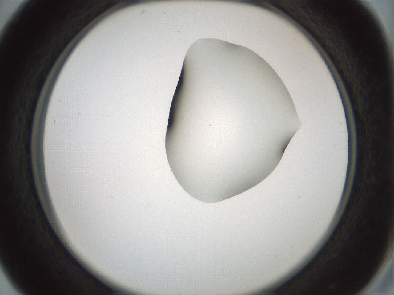 folderID264_plateID1264_batchID4189_wellNum29_profileID1_d2_r74545_ef.jpg