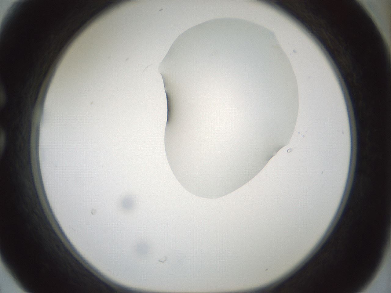 folderID264_plateID1264_batchID4189_wellNum30_profileID1_d1_r74546_ef.jpg