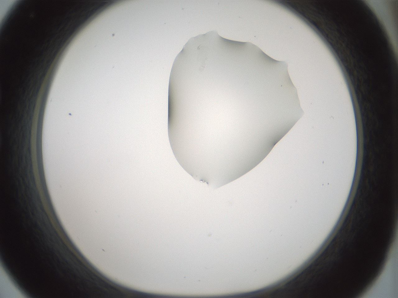 folderID264_plateID1264_batchID4189_wellNum33_profileID1_d1_r74552_ef.jpg