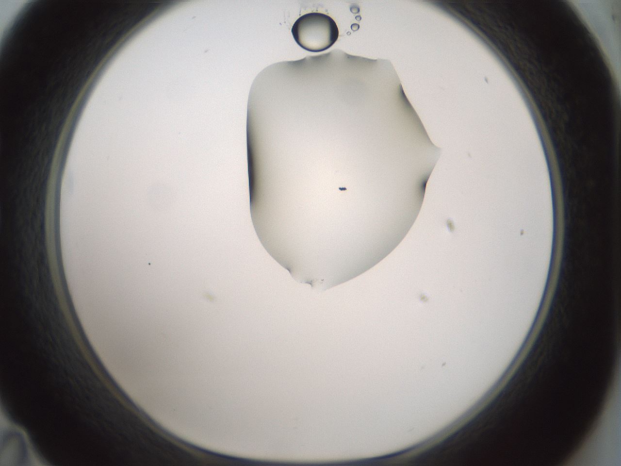 folderID264_plateID1264_batchID4189_wellNum35_profileID1_d1_r74556_ef.jpg