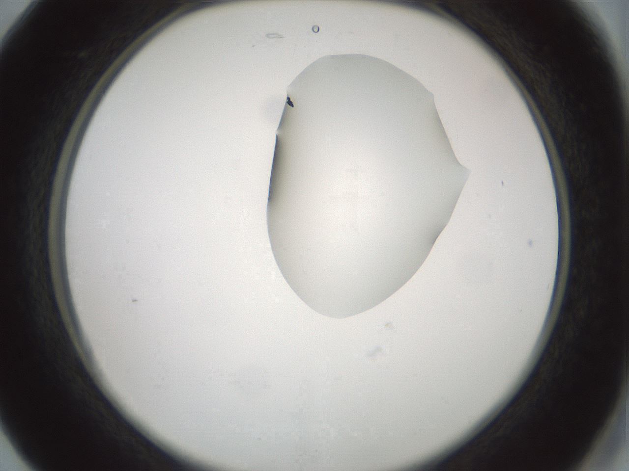 folderID264_plateID1264_batchID4189_wellNum17_profileID1_d2_r74521_ef.jpg