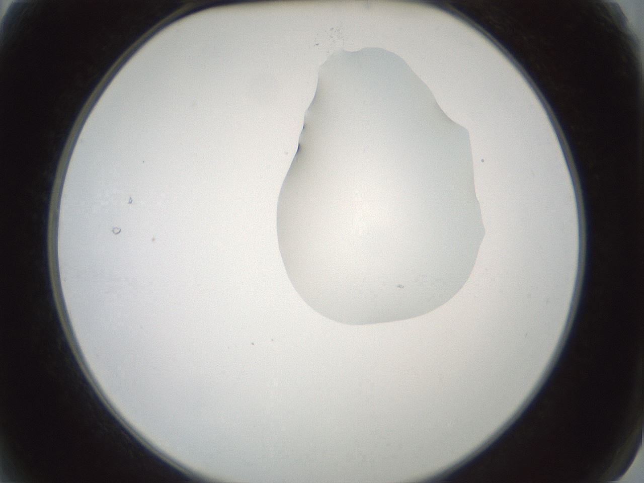 folderID264_plateID1264_batchID4189_wellNum2_profileID1_d2_r74491_ef.jpg