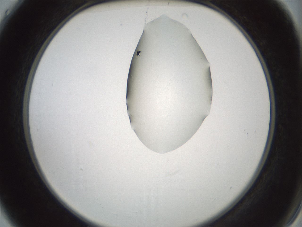 folderID264_plateID1264_batchID4189_wellNum4_profileID1_d2_r74495_ef.jpg