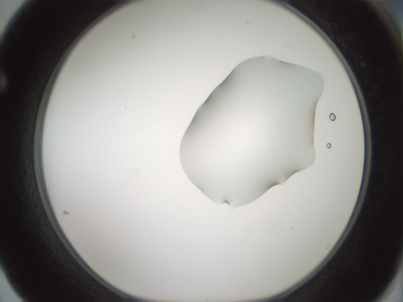 folderID264_plateID1264_batchID4189_wellNum62_profileID1_d1_r74610_ef.jpg