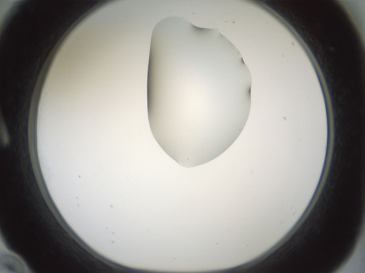 folderID264_plateID1264_batchID4189_wellNum10_profileID1_d1_r74506_ef.jpg