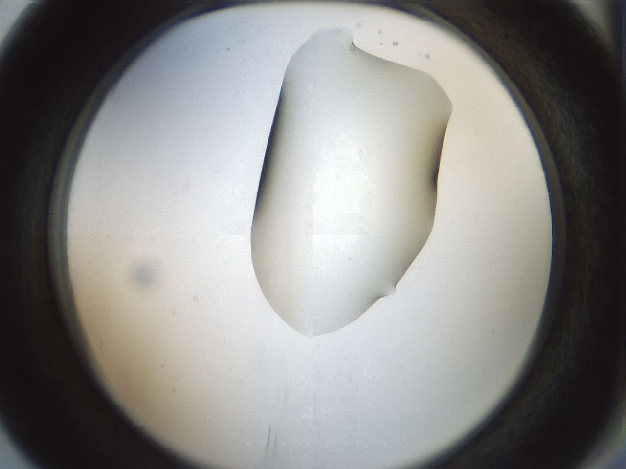 folderID264_plateID1264_batchID4189_wellNum80_profileID1_d2_r74647_ef.jpg