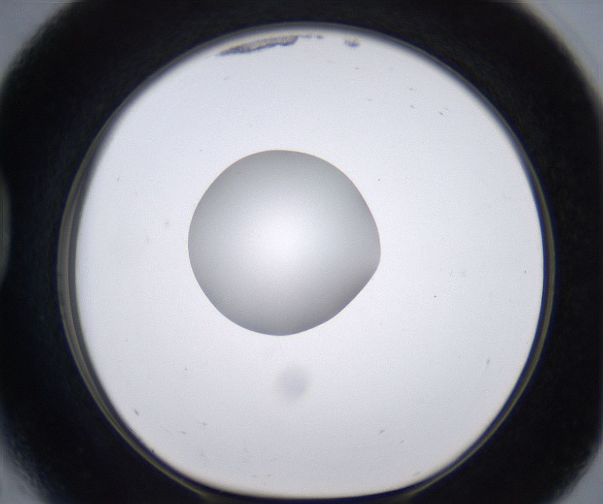 folderID266_plateID2266_batchID10358_wellNum41_profileID1_d1_r157994_ef.jpg