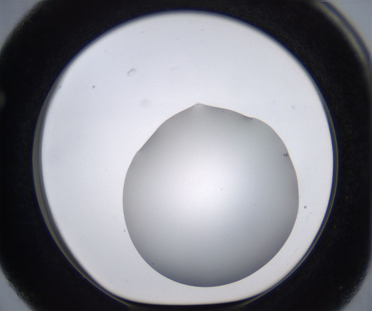 folderID267_plateID2267_batchID10355_wellNum63_profileID1_d1_r157886_ef.jpg