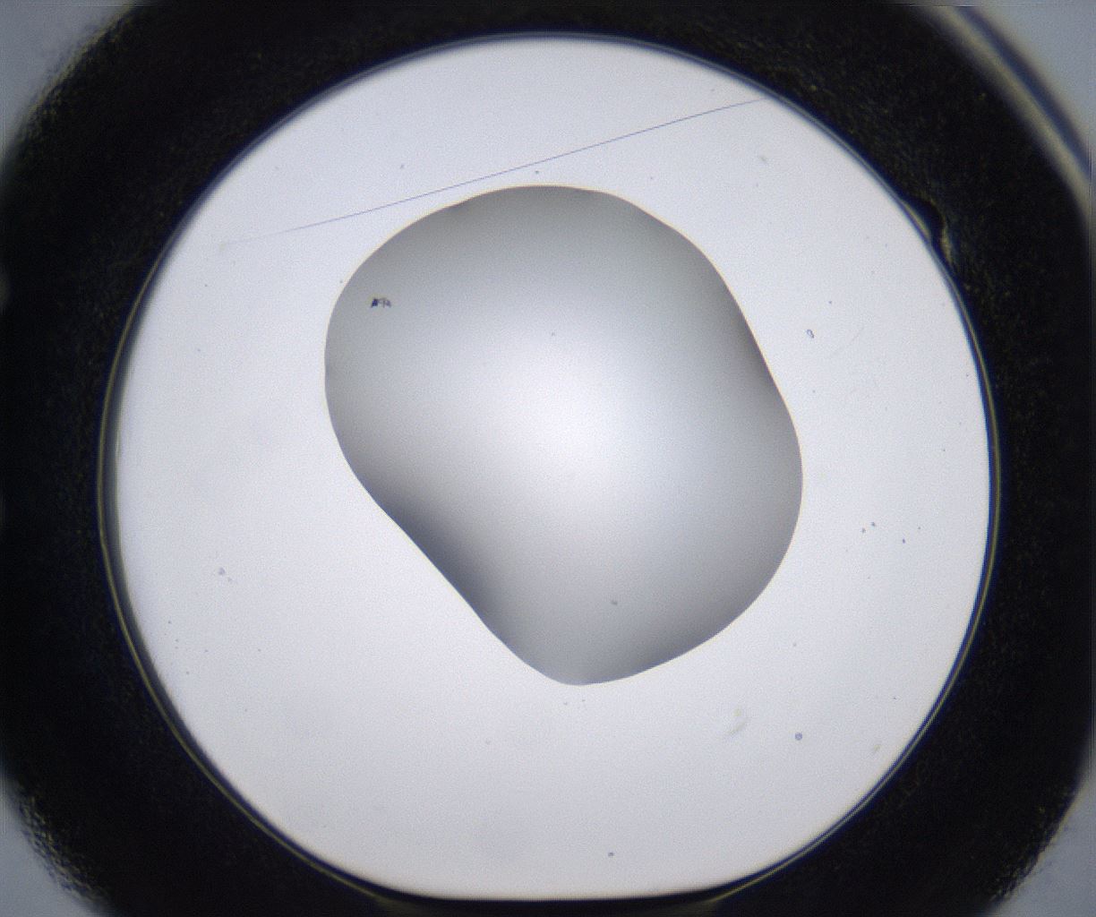 folderID268_plateID2268_batchID10353_wellNum49_profileID1_d1_r157666_ef.jpg