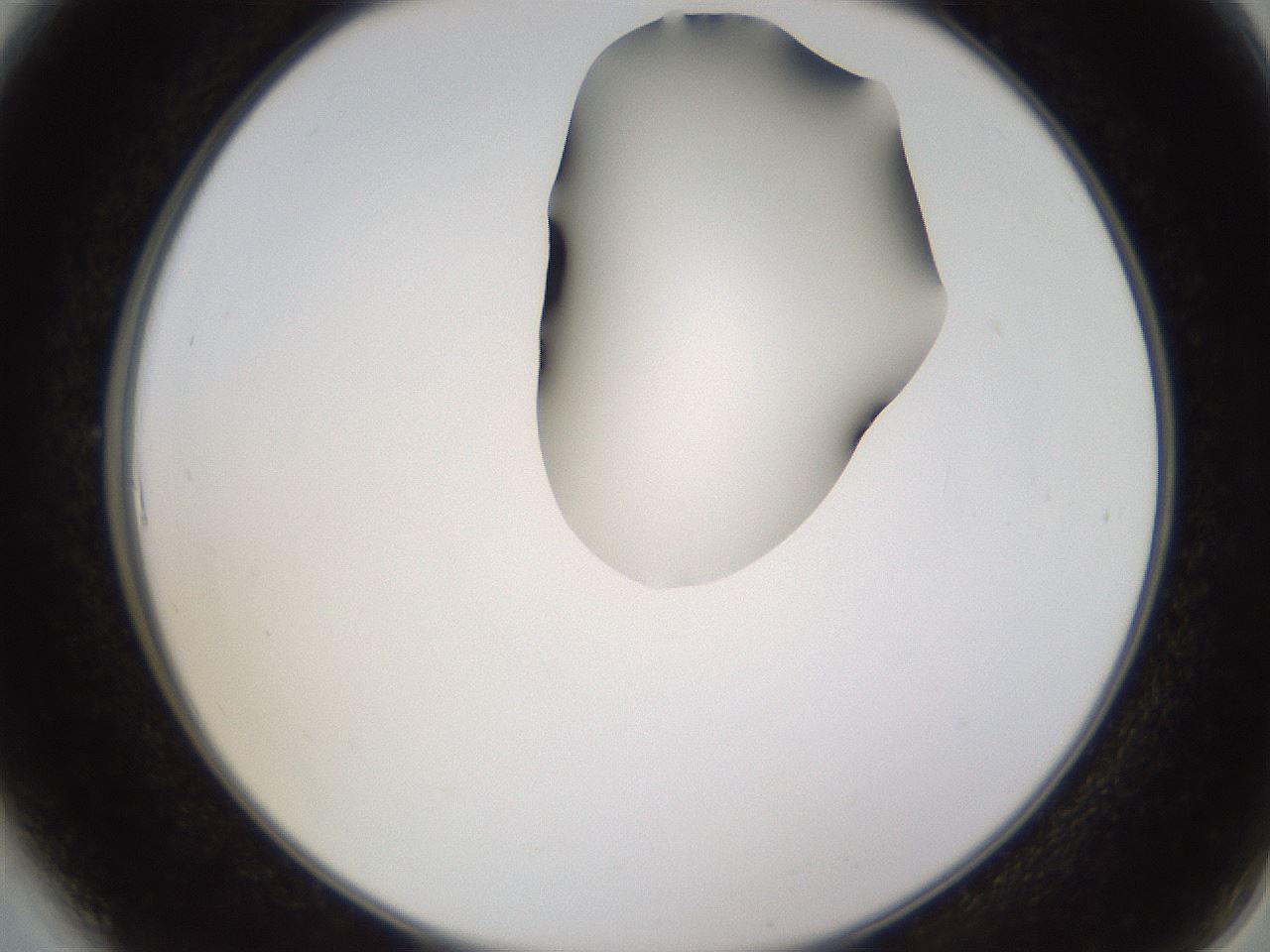 folderID269_plateID1269_batchID4165_wellNum6_profileID1_d2_r73155_ef.jpg