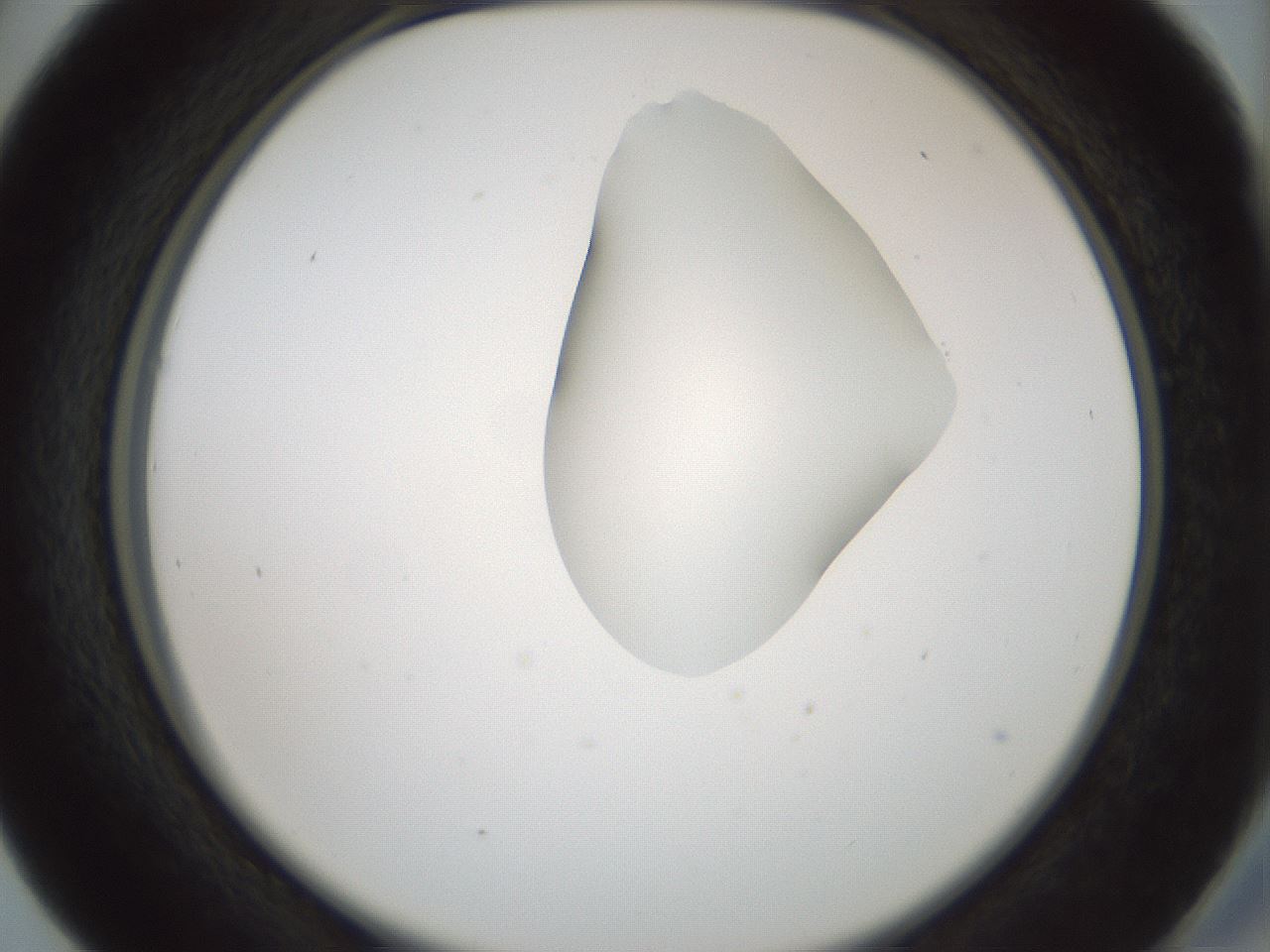 folderID264_plateID1264_batchID4189_wellNum41_profileID1_d2_r74569_ef.jpg