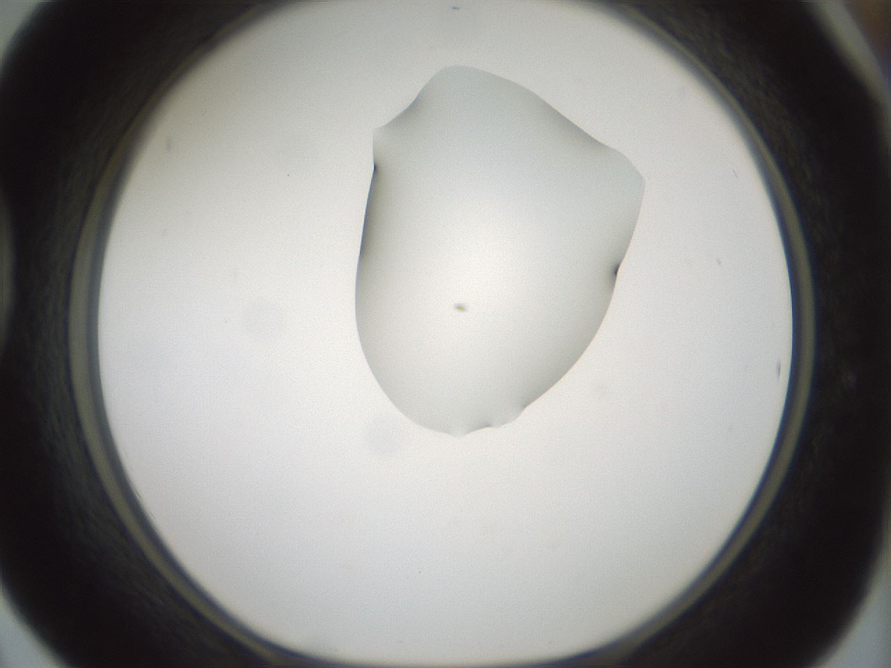 folderID264_plateID1264_batchID4189_wellNum42_profileID1_d1_r74570_ef.jpg