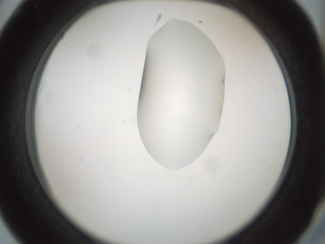 folderID264_plateID1264_batchID4189_wellNum42_profileID1_d2_r74571_ef.jpg