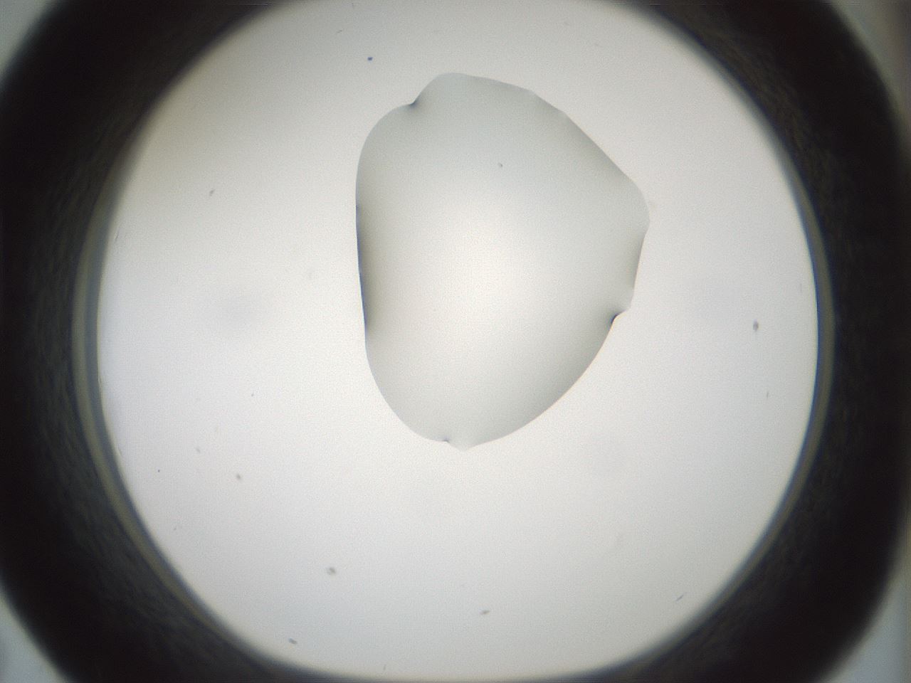folderID264_plateID1264_batchID4189_wellNum43_profileID1_d1_r74572_ef.jpg