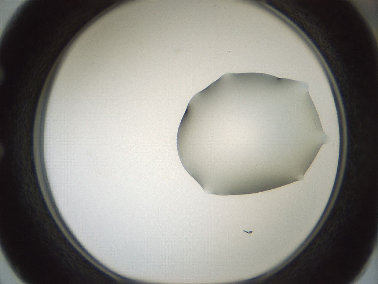 folderID264_plateID1264_batchID4189_wellNum50_profileID1_d1_r74586_ef.jpg