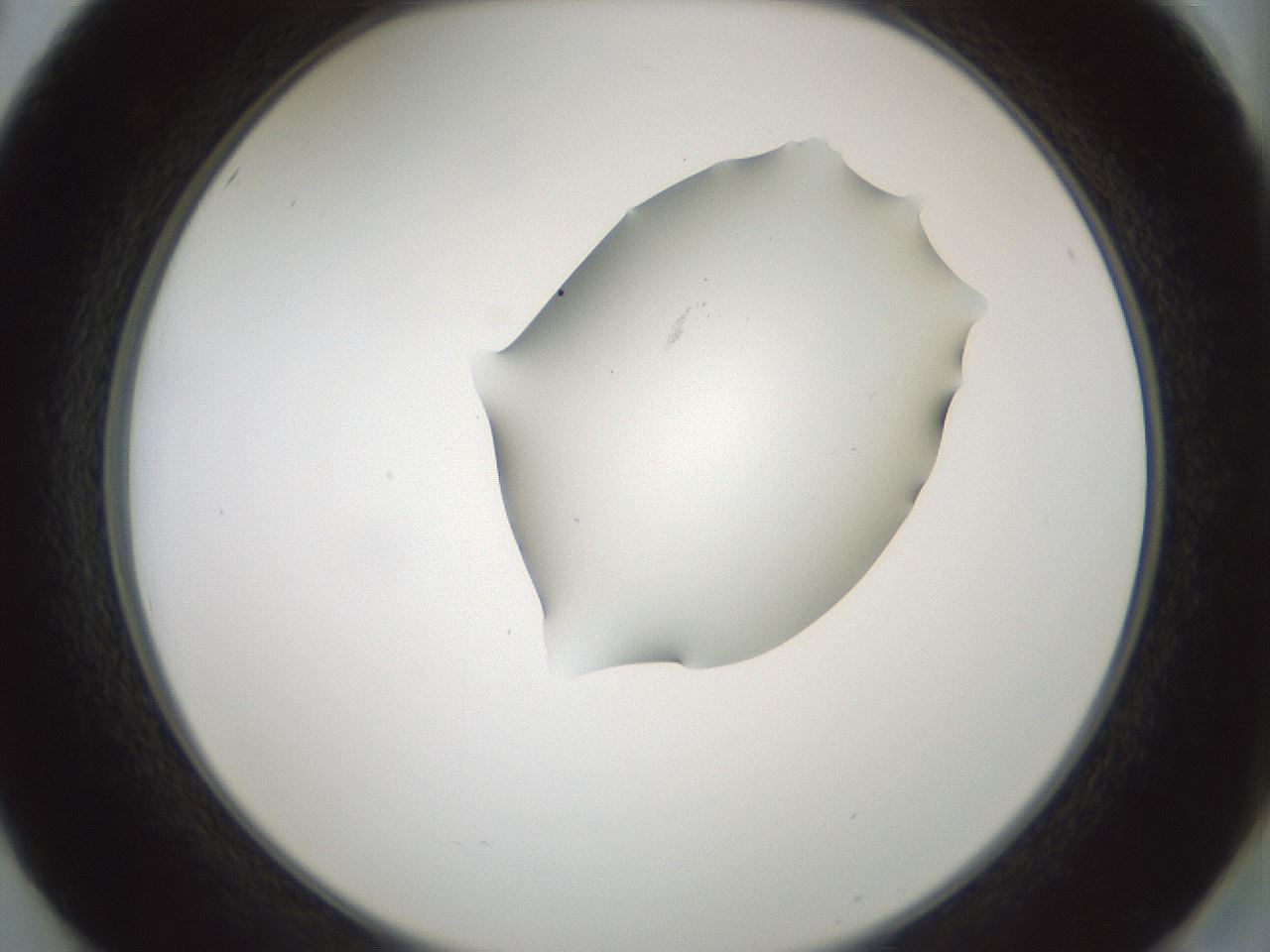 folderID264_plateID1264_batchID4189_wellNum50_profileID1_d2_r74587_ef.jpg