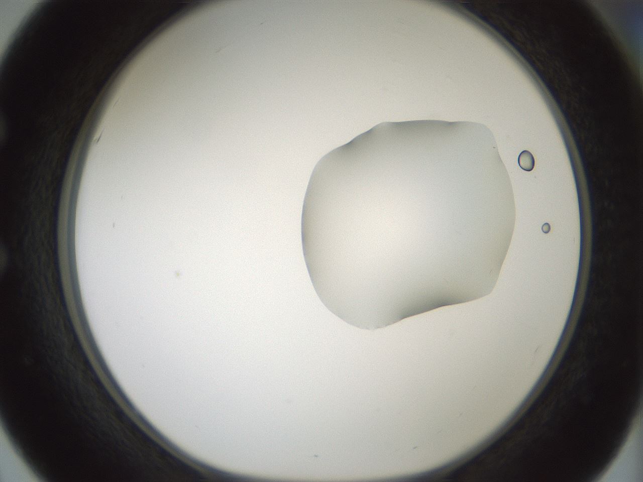 folderID264_plateID1264_batchID4189_wellNum51_profileID1_d1_r74588_ef.jpg