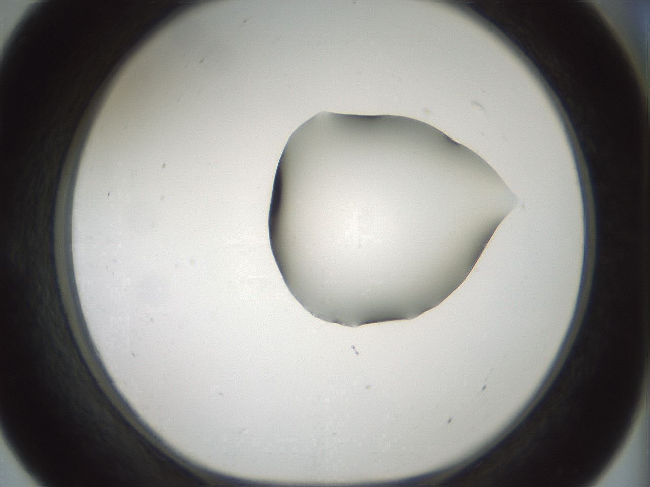 folderID264_plateID1264_batchID4189_wellNum55_profileID1_d1_r74596_ef.jpg