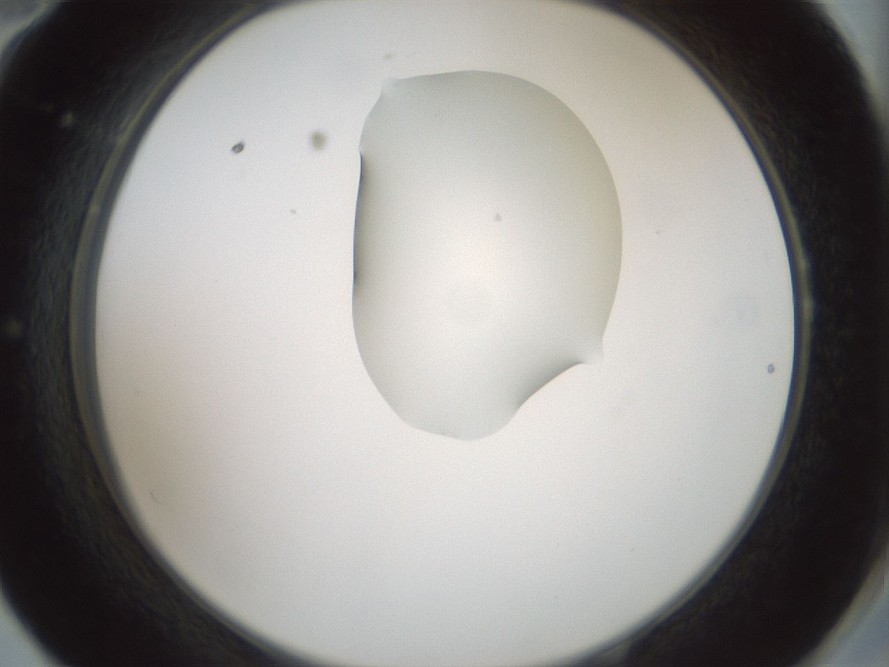 folderID264_plateID1264_batchID4189_wellNum58_profileID1_d2_r74603_ef.jpg
