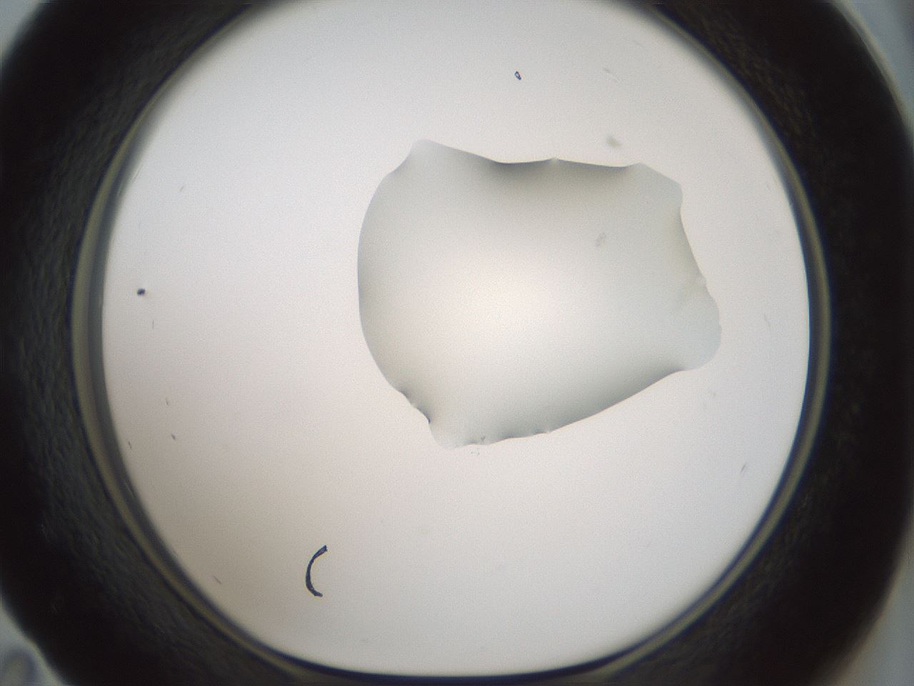 folderID264_plateID1264_batchID4189_wellNum59_profileID1_d1_r74604_ef.jpg