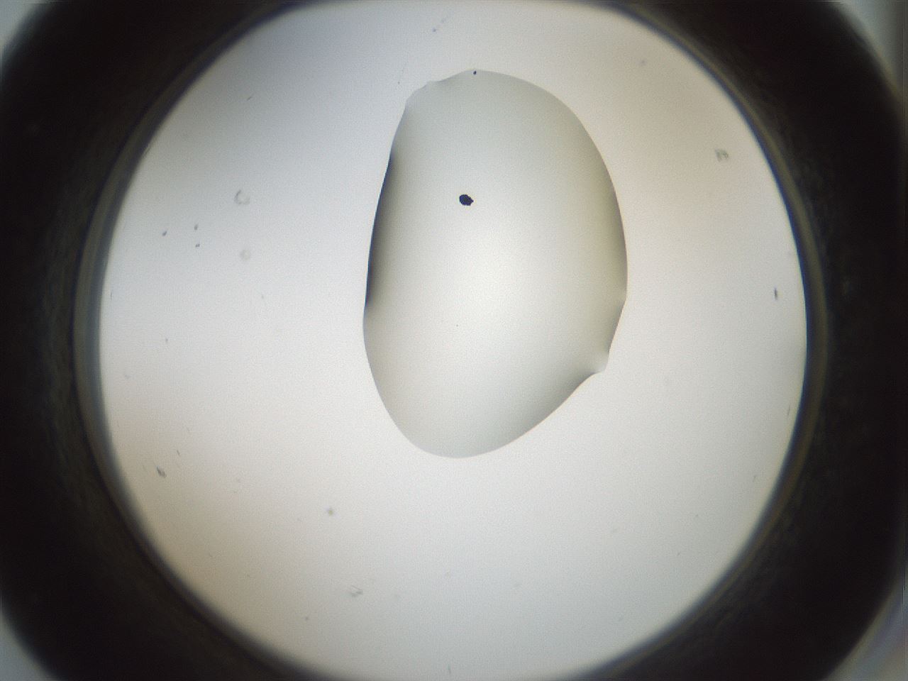 folderID264_plateID1264_batchID4189_wellNum68_profileID1_d2_r74623_ef.jpg