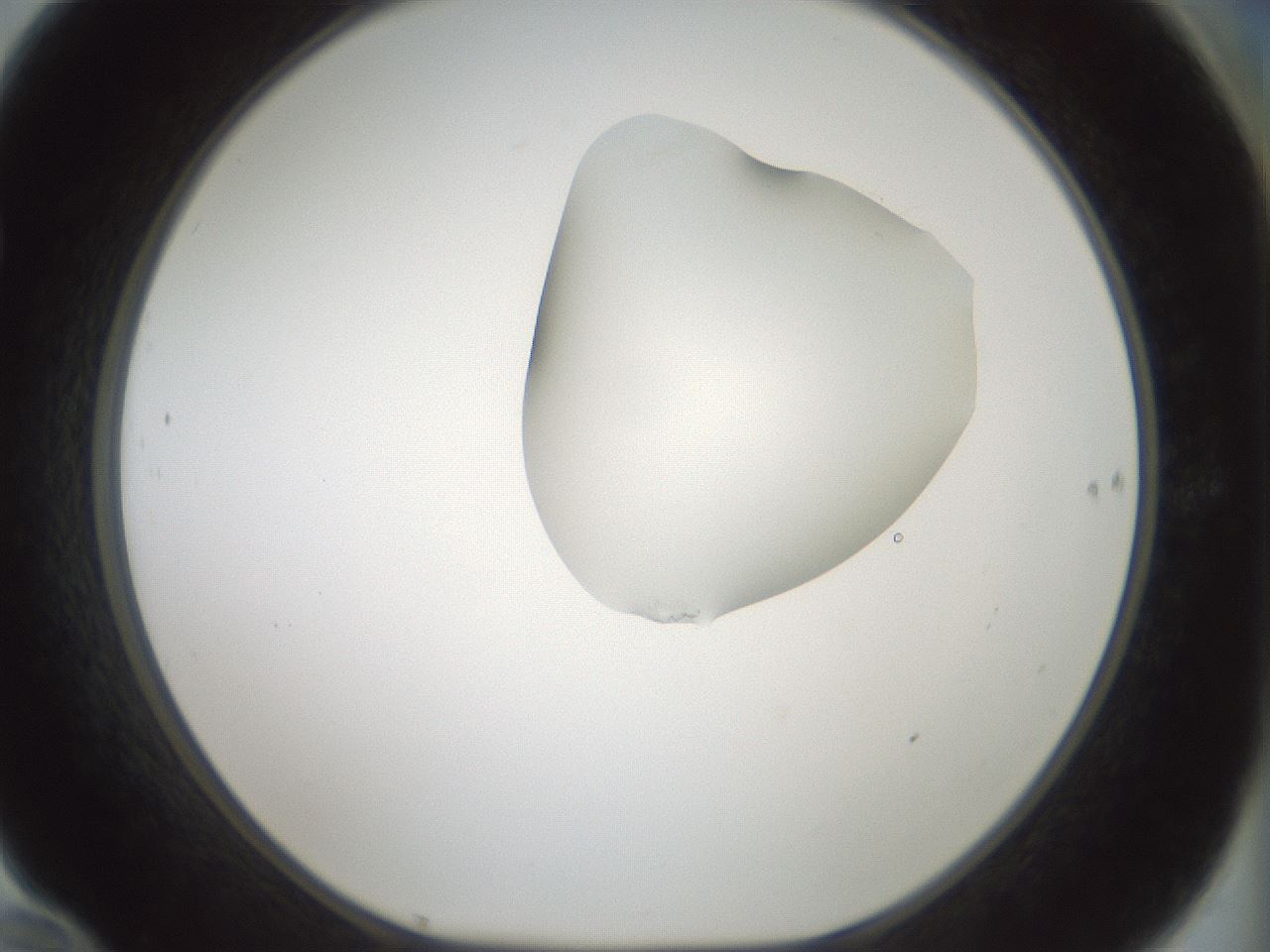 folderID264_plateID1264_batchID4189_wellNum70_profileID1_d1_r74626_ef.jpg