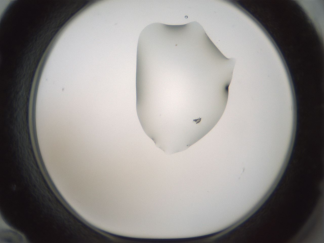 folderID264_plateID1264_batchID4189_wellNum72_profileID1_d1_r74630_ef.jpg