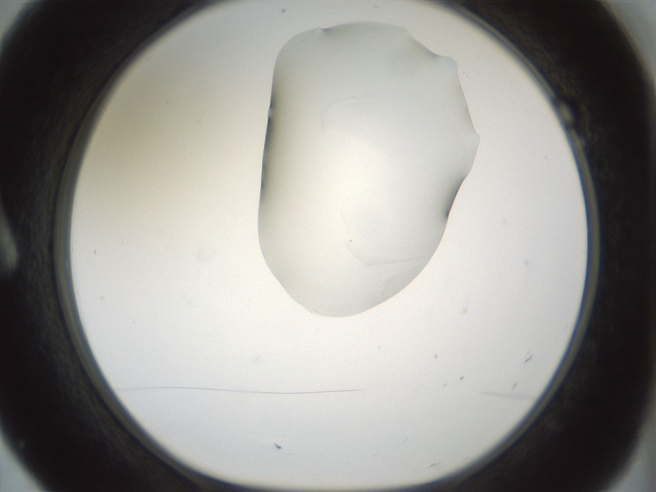 folderID264_plateID1264_batchID4189_wellNum7_profileID1_d1_r74500_ef.jpg