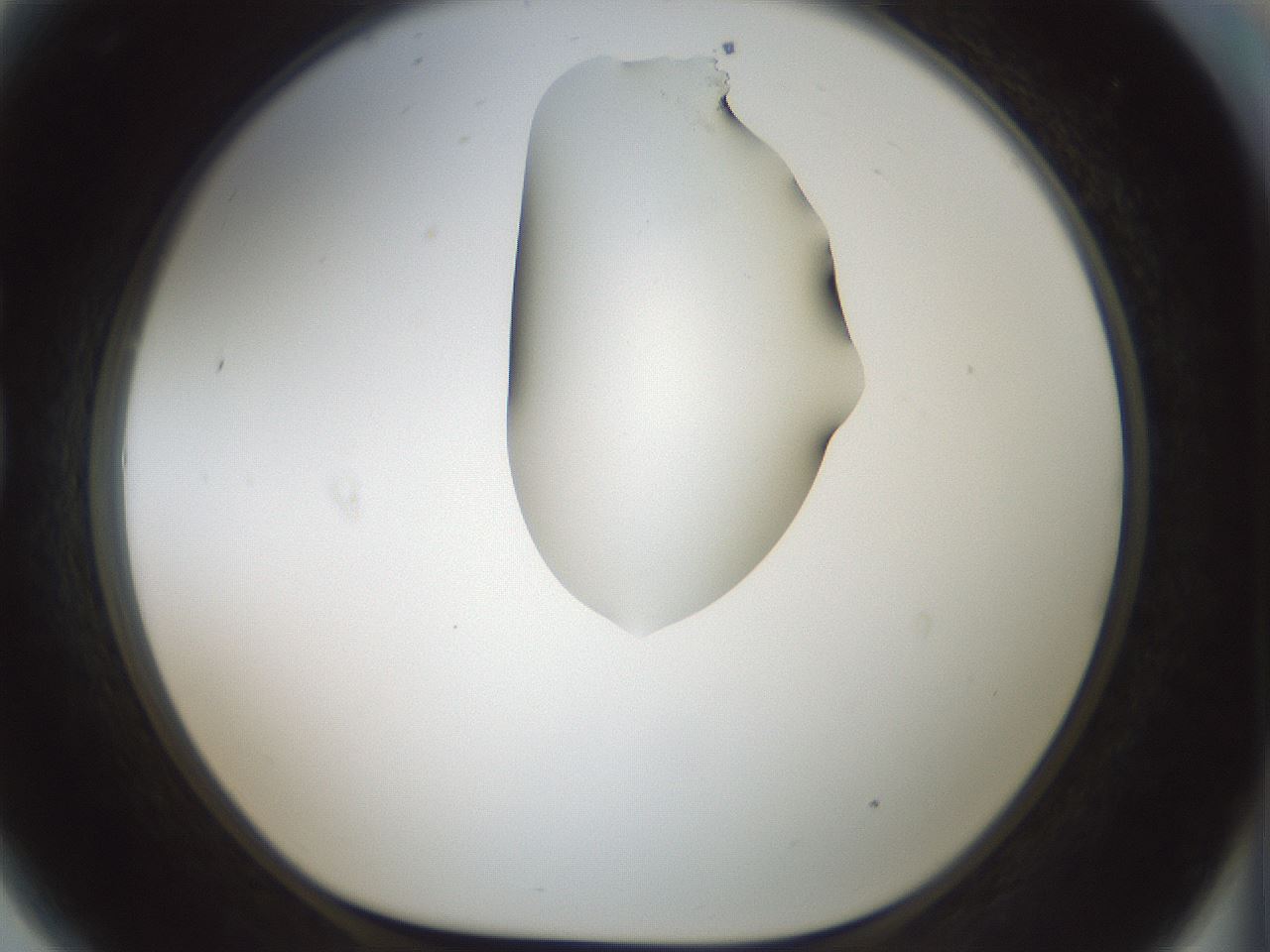 folderID264_plateID1264_batchID4189_wellNum81_profileID1_d1_r74648_ef.jpg