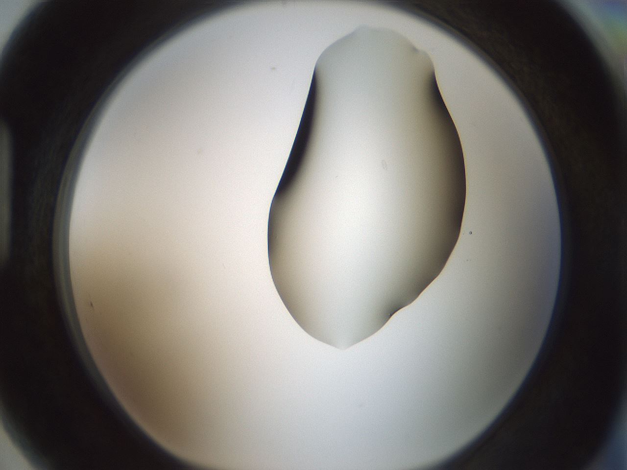 folderID264_plateID1264_batchID4189_wellNum89_profileID1_d1_r74664_ef.jpg