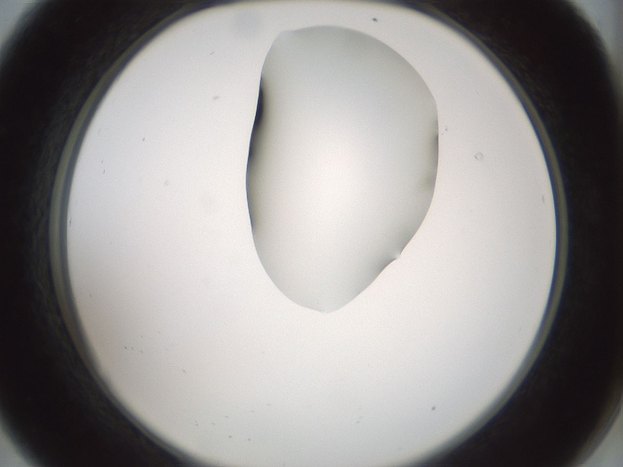 folderID264_plateID1264_batchID4189_wellNum8_profileID1_d2_r74503_ef.jpg