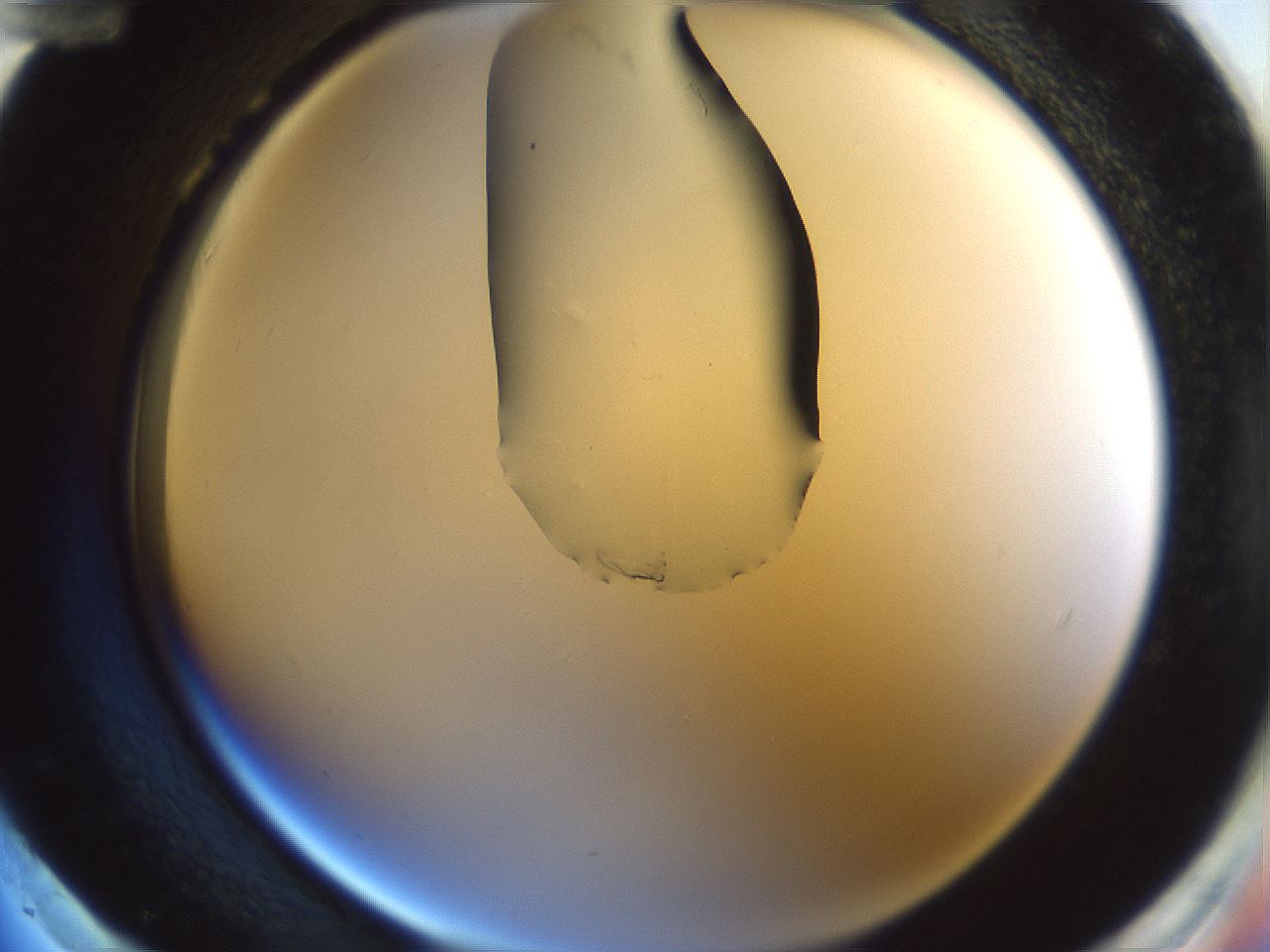 folderID264_plateID1264_batchID4189_wellNum96_profileID1_d2_r74679_ef.jpg