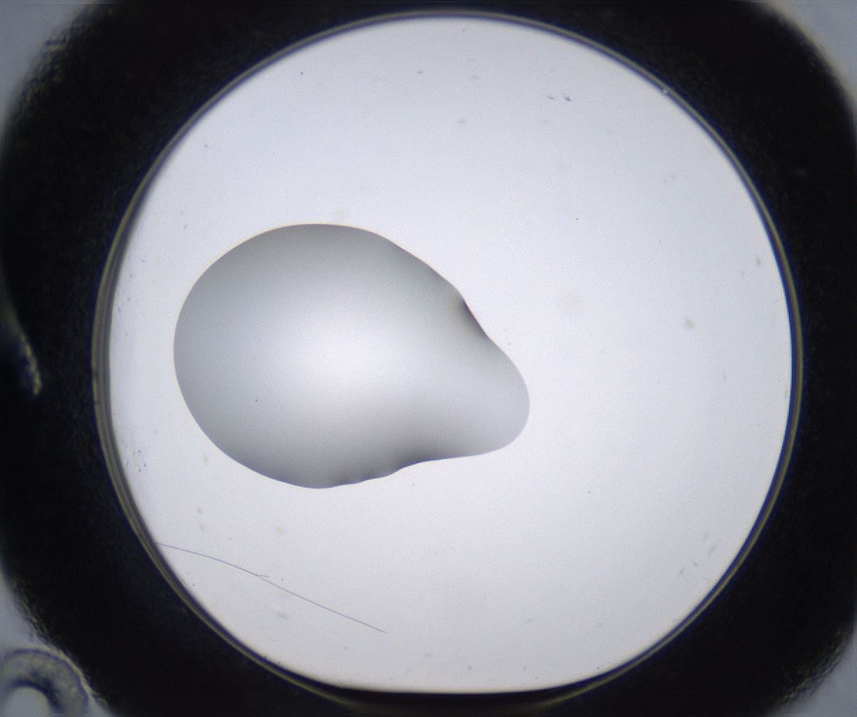 folderID264_plateID2264_batchID10350_wellNum10_profileID1_d1_r157387_ef.jpg