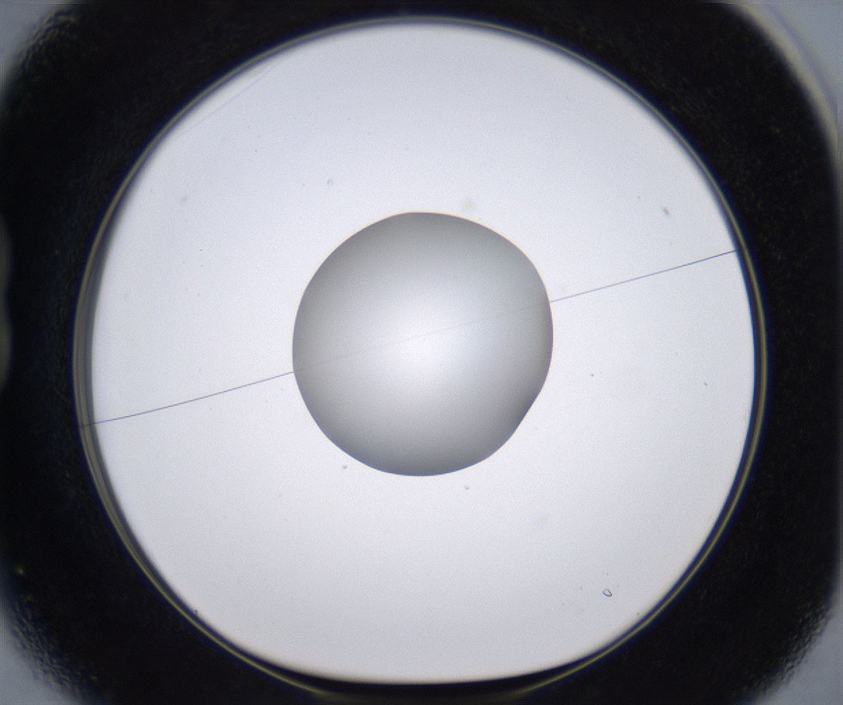 folderID264_plateID2264_batchID10350_wellNum13_profileID1_d1_r157390_ef.jpg